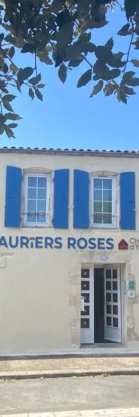 Logis des Lauriers Roses，位于马雷讷的酒店