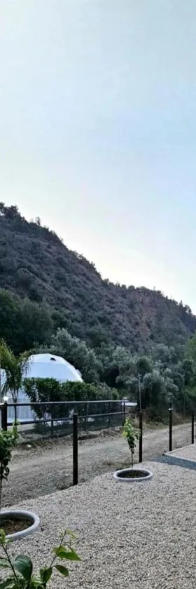 River Glamping Kalopanayiotis，位于卡洛帕尼亚伊奥蒂斯的酒店