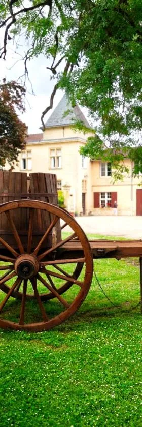 Chateau La Croix De Millorit，位于La Reuille的酒店