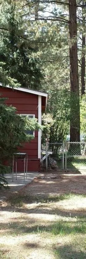 Green Cabin in Big Bear Lake 3 bdr Pets Friendly，位于大贝尔城的酒店