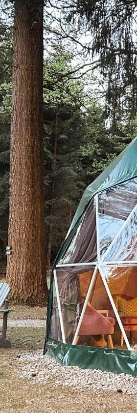 High Moor Glamping，位于雅莱的酒店