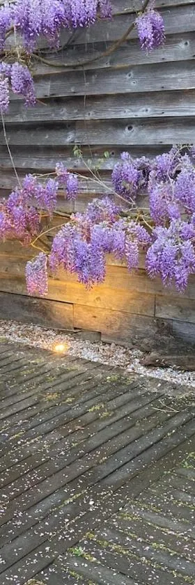 Gite Au Jardin，位于Meilhan-sur-Garonne的酒店