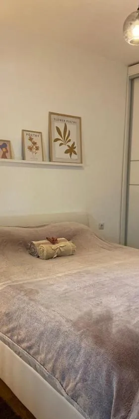 Apartments Boskovic，位于特雷比涅的酒店