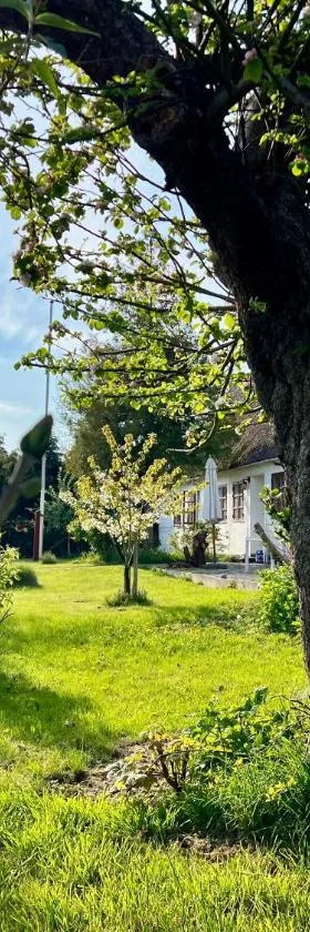 Noorbohandelens Bed & Breakfast，位于斯泰厄的酒店