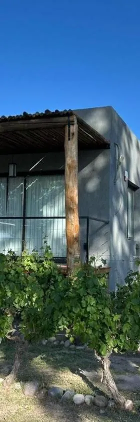 La Viñita Wine Lodge，位于La Consulta的酒店