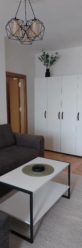 Riverview apartment，位于洛维奇的酒店