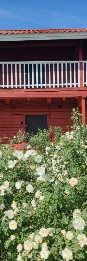 Hämeenniemi B&B Aitta, Barn，位于黑诺拉的酒店
