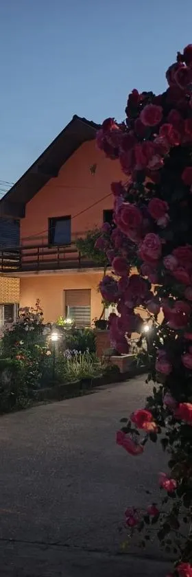 Nina Apartments，位于内戈廷的酒店