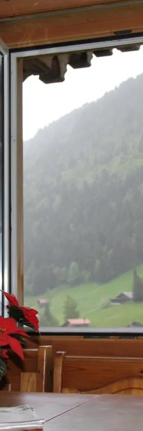 The Saxeten alps，位于Arni Alp的酒店