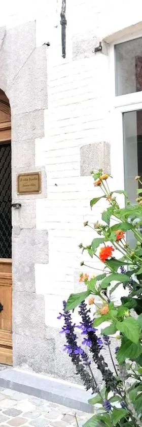 Le relais Napoléon，位于Avesnes-sur-Helpe的酒店