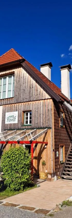 Haus Steinhof，位于穆劳附近圣洛伦岑的酒店