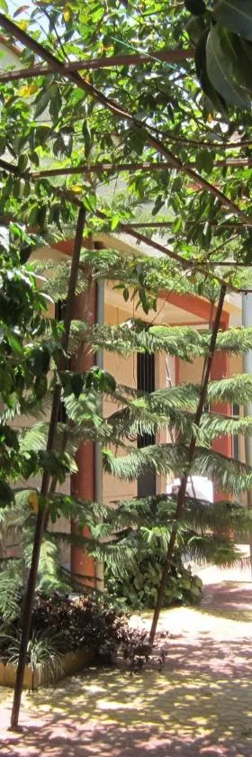 Manuhie Backpackers Lodge，位于巴赫达尔的酒店