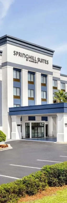 SpringHill Suites by Marriott Jacksonville North I-95 Area，位于杰克逊维尔的酒店