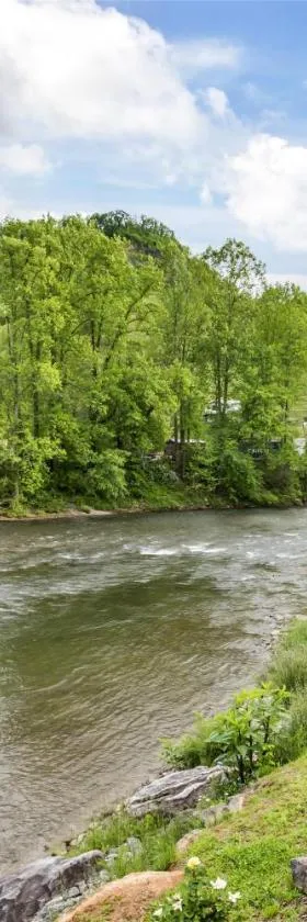 Best Western Plus River Escape Sylva / Dillsboro，位于迪尔斯伯勒的酒店