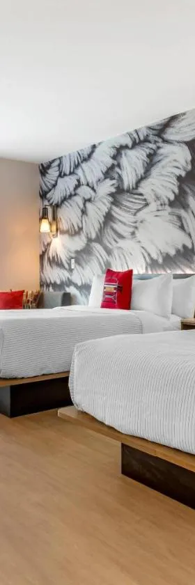 Cambria Hotel Rock Hill - University Center，位于岩石丘的酒店
