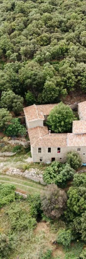 Le Puech, chambre d'hôtes en Cévennes，位于Saint-André-de-Majencoules的酒店