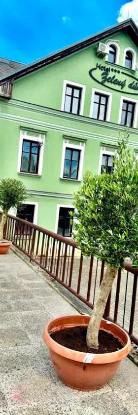 Hotel Zelený dům，位于Dolní Poustevna的酒店