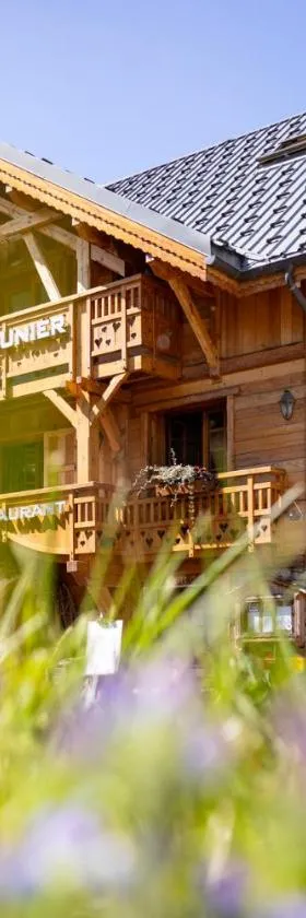 Hôtel Chalet Mounier，位于莱德萨阿尔卑斯的酒店