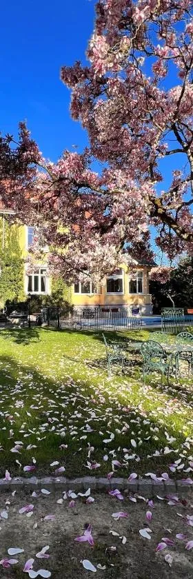 Hotel Restaurant Du Parc，位于坦恩的酒店