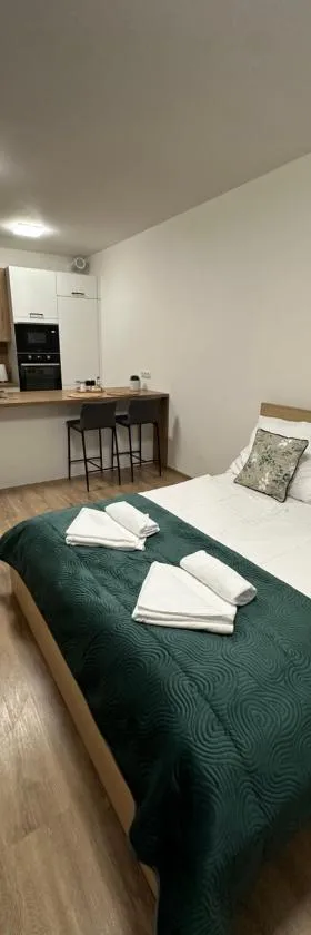 Sunny apartment BRNO，位于Medlánky的酒店