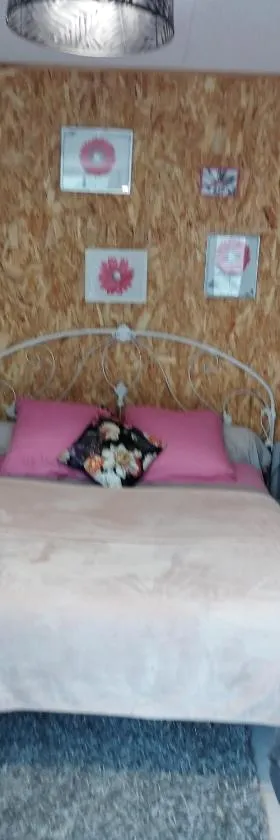 Chambre agréable au fond du jardin，位于Sancoins的酒店