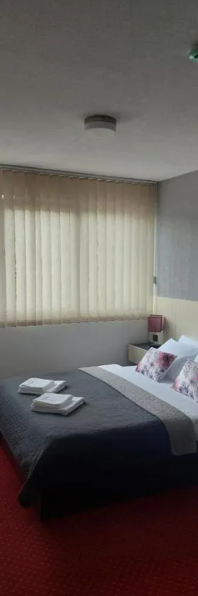Rooms S&S Milicevic u strogom centru Aleksandrovca，位于Aleksandrovac的酒店