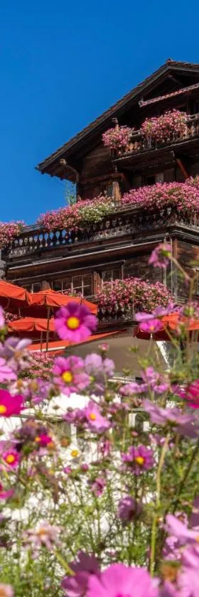 Hotel Chesa Grischuna，位于克洛斯特斯的酒店