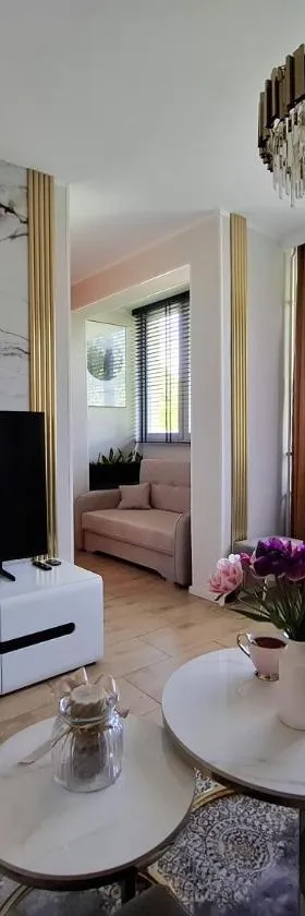 Apartament Alchemia Gór，位于兹沃蒂斯托克的酒店