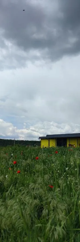 ILLU Resort，位于奥尔海伊的酒店