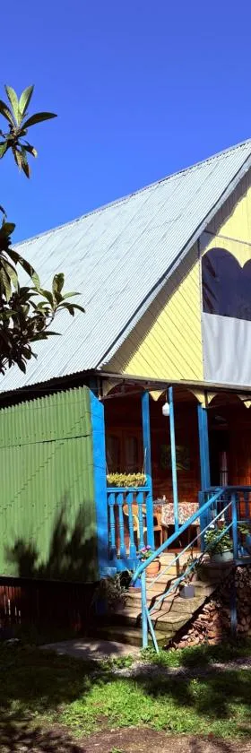 Wooden House Tsikhisdziri，位于Buknari的酒店