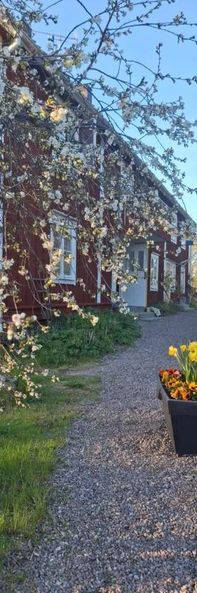 Mjölby Vandrarhem，位于米约尔比的酒店