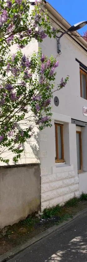 La calèche, la Diligence, centre St Jean de Losne，位于圣让德洛讷的酒店