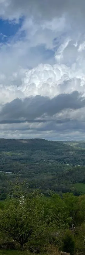 Tree Top View of lookout mountain，位于Rising Fawn的酒店