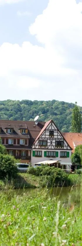 Logis Hôtel-Restaurant Auberge d'Imsthal，位于拉佩蒂特皮耶尔的酒店
