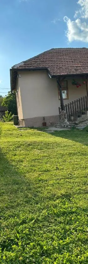 Primo apartmani，位于Mirovo的酒店