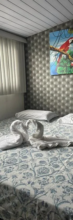 Hotel Araras，位于马瑙斯的酒店