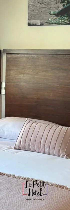 Hotel Le Petit，位于康塞普西翁的酒店