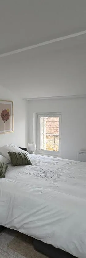 Studio le cocon aux portes de Lyon，位于诺伊维尔索恩河畔的酒店