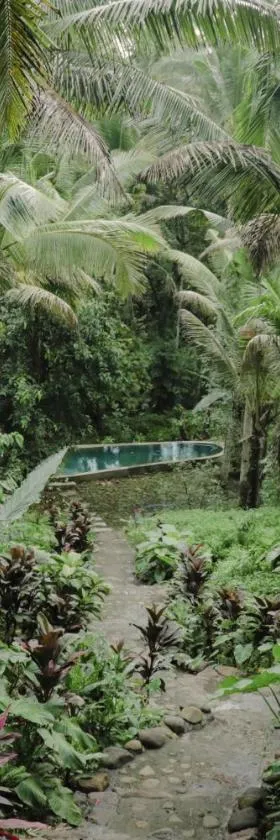 Bali Secret Jungle，位于塞莱马德加的酒店