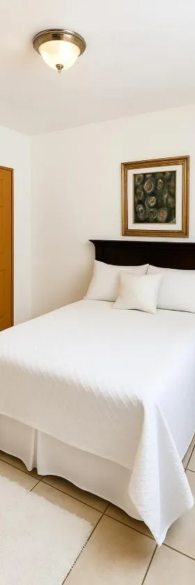 Great Savannah GuestHouse，位于Sabana Grande的酒店
