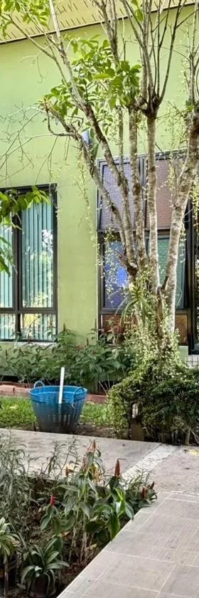 月光小屋度假村，位于班巴克洛的酒店