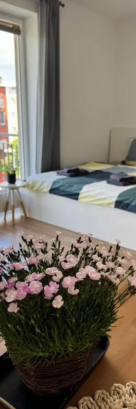 Airport Apartman Víšek，位于Chýně的酒店