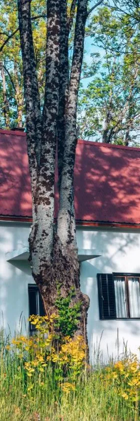 Eco House Nevidio，位于Šavnik的酒店