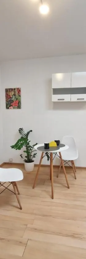 Apartament Wodzisław Śląski Blisko granicy，位于希隆斯克地区沃济斯瓦夫的酒店
