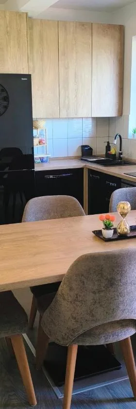 Apartment Cedar Zagreb Airport - Velika Gorica，位于Ščitarjevo的酒店