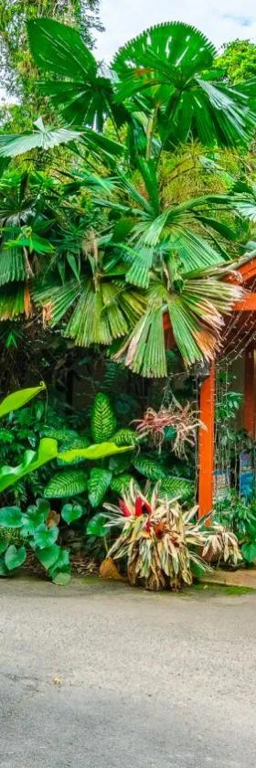 Heritage Lodge - in the Daintree，位于丹特里的酒店