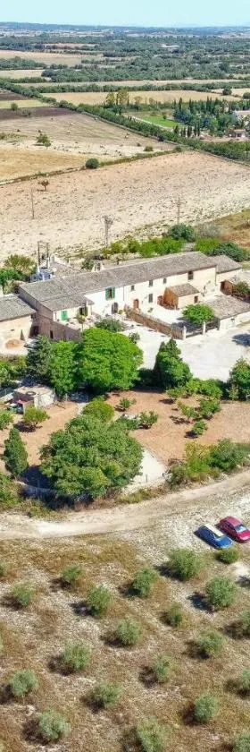 Agroturismo Finca Son Valls - Adults Only，位于费拉尼特斯的酒店