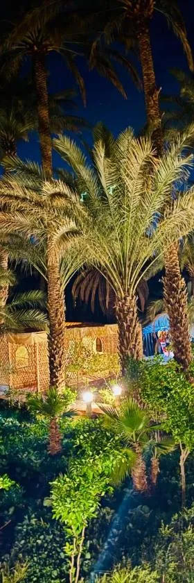 Serenity Lodge - Zagora Guest House，位于扎古拉的酒店