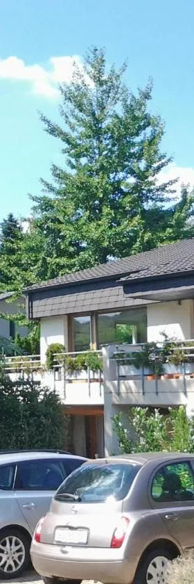 赫斯伯格住宿加早餐酒店，位于Hersberg的酒店