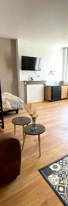 Brown Cosy Loft Centre，位于卢维耶的酒店